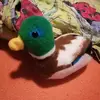 Robertkoza - @robertkoza21 - TikTok