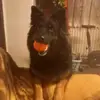 Robertkoza - @robertkoza22 - TikTok