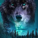 Robert  Kozik - @kozik6978 - Instagram