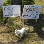 Robert Kozik - @twinlakefarm.n.flea - Instagram