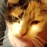 Robert Owen Kozik - @okozik06 - Instagram