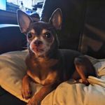 Robert S. Kozik - @tlfnflea_market - Instagram
