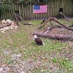 Robert Kozuch - @robertkozuch - Instagram