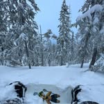 Robert Wahlén - @robertkristofer - Instagram