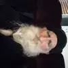robertkroboth28 - @robertkroboth28 - TikTok