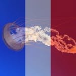Robert Krog Laugesen - @laugesen1963 - Instagram