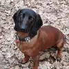 robertkuchy - @robertkuchy - TikTok