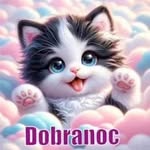 Robert Kuczyński - @mozna_143 - Instagram