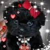 Robert Kukla860 - @robertkukla05 - TikTok