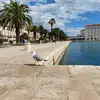 Robert - @robertkulicki - TikTok