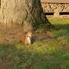 Robert Kunath - @robertkunath - TikTok