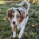 Robert Kunst - @robert.kunst - Instagram
