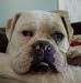 Robert Kupec - Facebook
