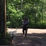 Роберт Курашвили - @robertkurashvili - Instagram