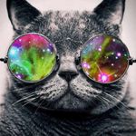 Robert Kuster - @kuster7356 - Instagram