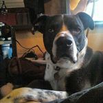 robert kwon - @robertkwon5274 - Instagram