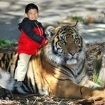 Robert Kwong - @robert.kwong.5 - Instagram