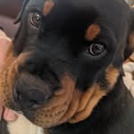 Robert Labonté - @robert.labonte.397 - Instagram
