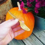 Robert LaBonté - @labonte_robert - Instagram