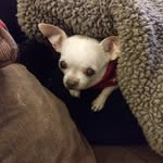 Robert Laboy - @rolabo4959 - Instagram