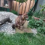 Robert Laco - @robikitali1 - Instagram