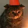 Robert Blais - @robert.blais6 - TikTok