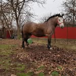 Robert Lakatos - @robert.lakatos.5815255 - Instagram