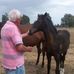 Robert Lammonby - Facebook