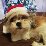 Robert Gašo Lamprecht - @robertlamprecht72 - Instagram