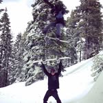 Robert Landers - @bertsland - Instagram