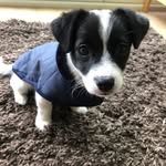 Robert Landers - @robertlanders99 - Instagram