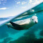 Robert Lang - @robertlangphotography - Instagram