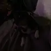 Robert Lang - @robert.lang56 - TikTok