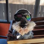 Robert Lannon - @lannon_robert - Instagram