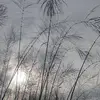 robertlanderman - @robertlanderman - TikTok