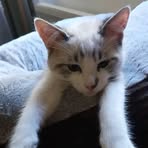 Robert Lapin - Facebook