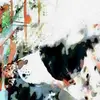 Robert Lapinski - @robert.lapinski4 - TikTok