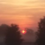 Robert Lappert - @lappertrobert - Instagram