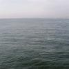robert_lard - @robert_lard - TikTok