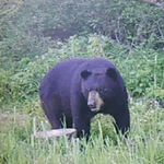 Robert Larson - @zhb_74_1021 - Instagram