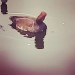 Robert - @robert_la_scoala - Instagram