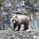 Jaydin Robert - @robert_last_ - Instagram