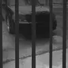 Robert Laster - @robert.laster5 - TikTok