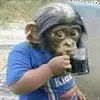robertoalatorre77 - @robertoalatorre77 - TikTok