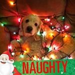 Robert Laudati - @robertlaudati - Instagram