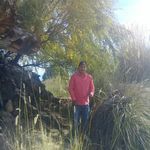 Robert Laureano - @robertcris2488 - Instagram
