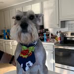 Robert Laurie - @robert.laurie.507 - Instagram