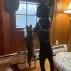 robertlaurie281 - @robertlaurie281 - TikTok