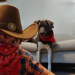robert laws - @robertlaws04 - Instagram
