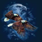Robert Layer - Facebook